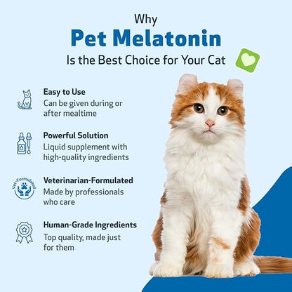 Pet Wellbeing Pet Melatonin for Cats - Supports Adrenal &amp; Thyroid Health, Cortisol Balance, Helps Maintain Normal Sleep Patterns - Veterinarian-Formulated Liquid Supplement 2 fl oz (59 ml)