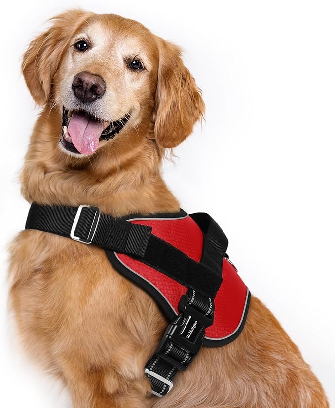 rabbitgoo Dog Harness for Large, Easy On Pet Vest with One Buckle, No Pull Adjustable Service Harness with D-Ring &amp; Handle, Reflective for Safety Walking, Training, Red, XL