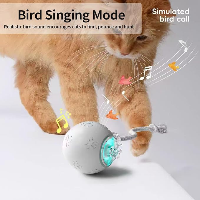 Interactive Cat Toys, Automatic Moving Cat Toy for Bored Indoor Adult Cats, Fast Rolling, Chirping &amp; Motion-Activated Cat Toys, Fun Gift for Cats with Speedy Tail 2.0, USB Rechargeable(Gray)