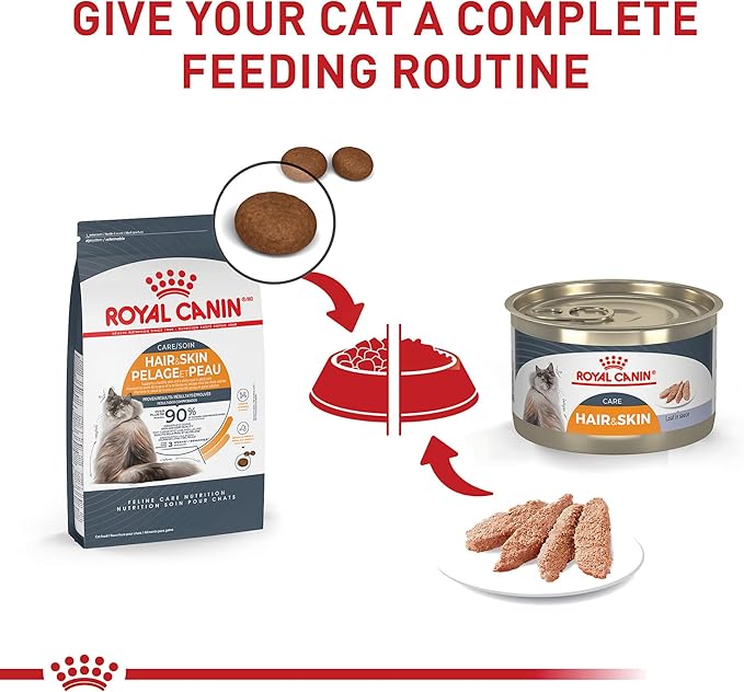 Royal Canin Feline Care Nutrition Hair &amp; Skin Care Loaf in Sauce Canned Cat Food, 5.1 oz can (24-count)