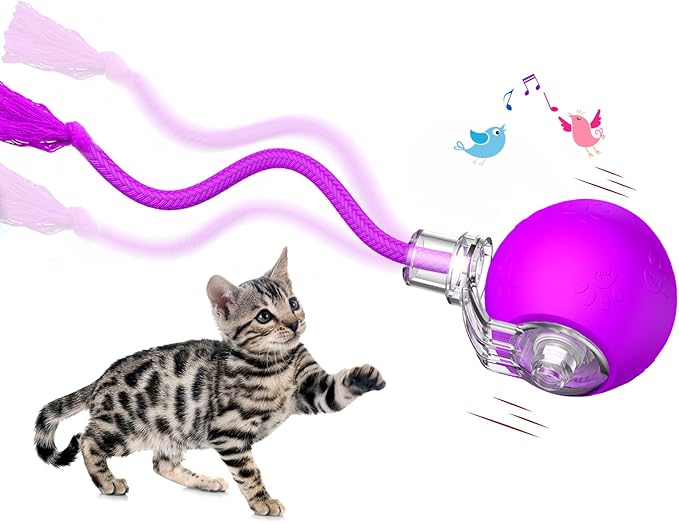Interactive Cat Toys, Automatic Moving Cat Toys for Bored Indoor Adult Cats, Fast Rolling, Chirping &amp; Motion-Activated Kitty Toys, Fun Gift for Cats with Speedy Tail 2.0, USB Rechargeable, Purple