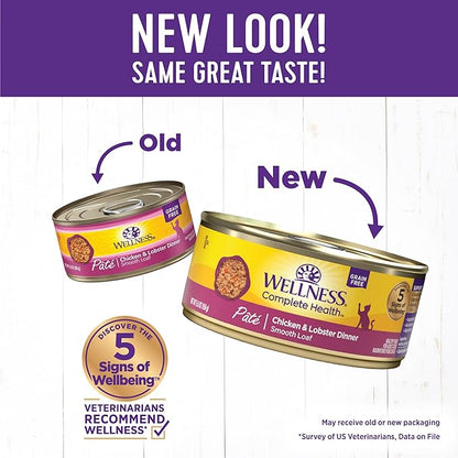 Wellness Complete Health Natural Grain Free Wet Canned Cat Food, Chicken &amp; Lobster Pate, 5-Ounce Can (Pack of 24)
