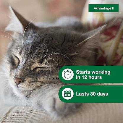 Advantage II Small Cat Vet-Recommended Flea Treatment &amp; Prevention | Cats 5-9 lbs. | 6-Month Supply