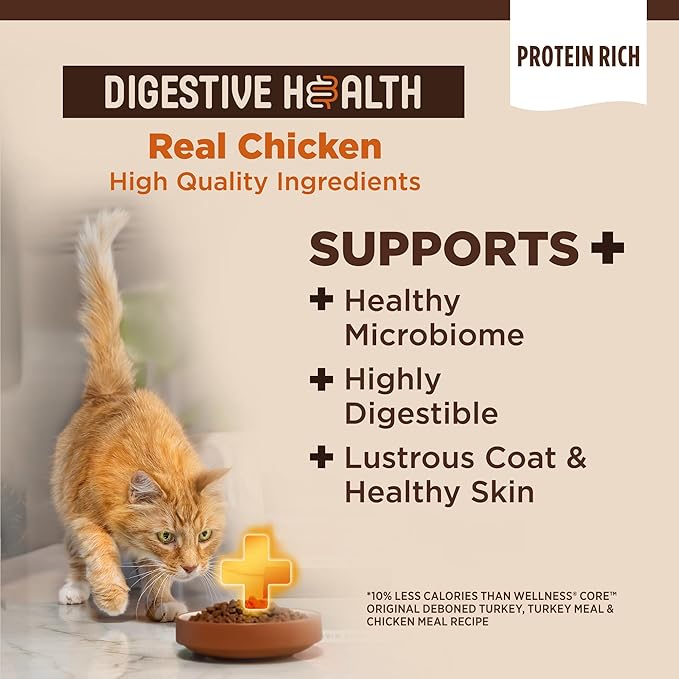 Wellness CORE+ Adult Dry Cat Food for Indoor and Outdoor Cats, Wholesome Grains, Natural, Digestive Health Chicken &amp; Rice (5 Pound Bag)