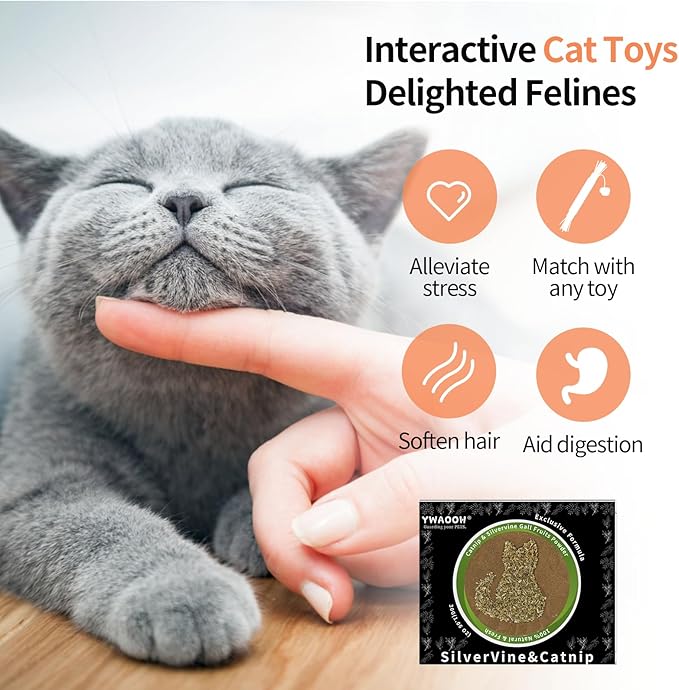 Catnip &amp; Silvervine Powder – 30g Blend of Silvervine Gall Fruit &amp; Catnip, Non-Addictive, for All Cat Ages, Multi-Use with Toys, Scratchers &amp; Protecting Furniture, with 5 Little Pouches