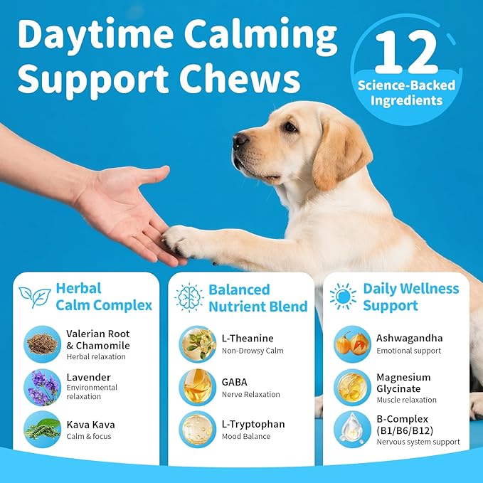Calming Chews for Dogs – Calming Treats for Anxiety, Stress, Separation, Travel&amp;Thunder, Relaxation &amp; Focus Support with L-Theanine, Valerian Root, Chamomile &amp; Ashwagandha, Chicken Flavor, 90Ct