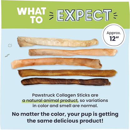 Pawstruck Natural Large 12" Beef Collagen Sticks for Dogs – Long-Lasting Rawhide Alternative, High Protein Treats with Chondroitin &amp; Glucosamine – 5 Pack
