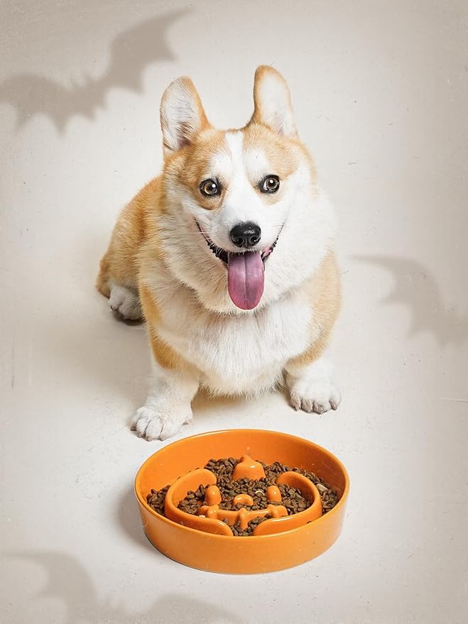 LE TAUCI Ceramic Puzzle Feeder Bowl Raised 1.5 Cup with Wood Stand for Small Medium Dog &amp; Puppy, Fast Eating Food Dish,Pumpkin Orange