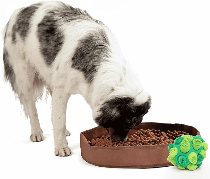 Reggie Enrichment Value Pack for Dogs with Stimulating Feeder Mat and Forager Ball to Relieve Speed Eating, Boredom, Stress | Vet-Approved &amp; Ideal for All Ages, Dog Breeds, and Sizes