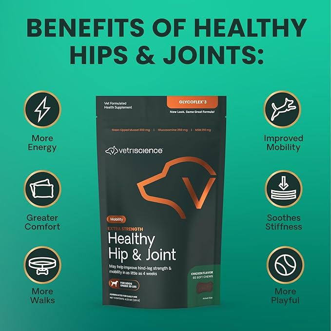 VetriScience Glycoflex 3 Clinically Proven Hip and Joint Support Supplement for Small Dogs - Maximum Strength Dog Supplement with Glucosamine, MSM, Green Lipped Mussel &amp; DMG - 60 Chews,Chicken Flavor