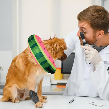 Katoggy Inflatable Dog Cone Collar for Small Medium Large Dogs and Cats - Soft Adjustable Blow up Donut E-Collar for Post-Surgery Recovery