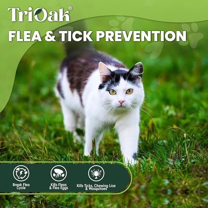 Flea and Tick Prevention for Cats: Flea &amp; Tick Topical for Cats Over 1.5lbs, 6 Dose Flea and Tick Control/Prevention for 6 Months (6 Pack)
