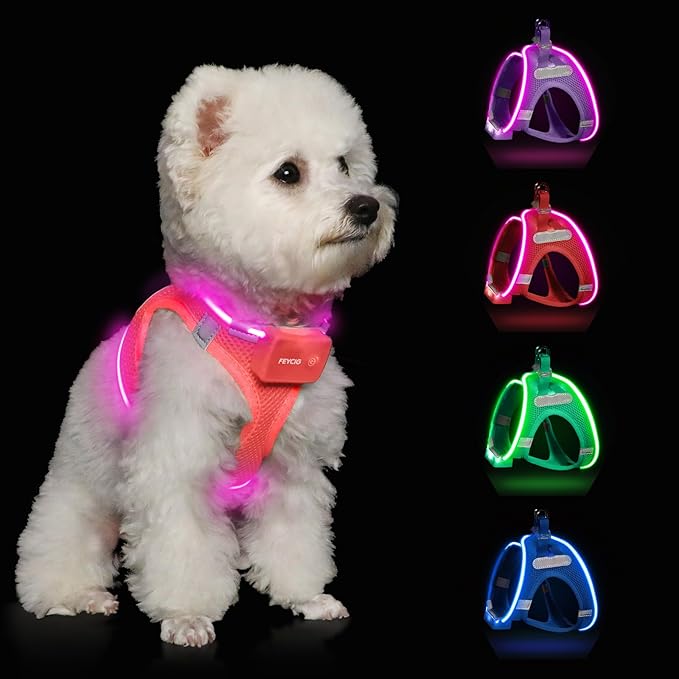 Light Up Dog Harness,Rechargeable LED Dog Harness for Small Medium Large Dogs,Reflective Lighted Safety Vest for Night Walking &amp; Camping,Lightweight &amp; Adjustable,Fluorescent Pink,L