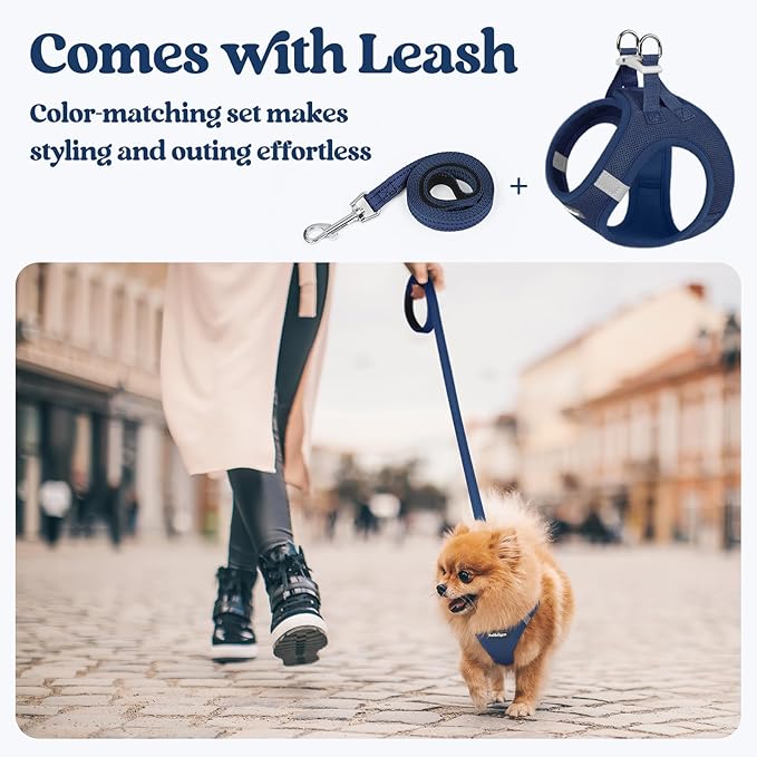 rabbitgoo Dog Harness Small Sized and Leash Set, Step in Soft Light Puppy Vest, Breathable Mesh Pet Harness, Reflective for Outdoor Safe Walking, Navy Blue XXXS