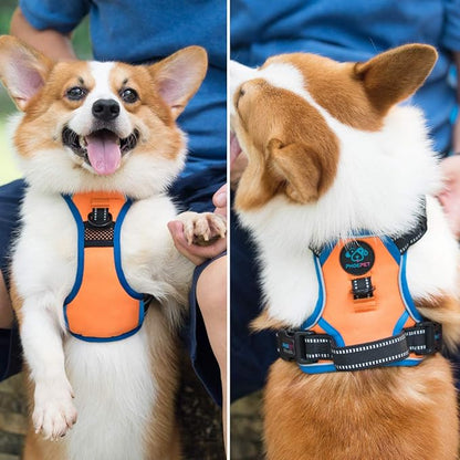PHOEPET 2019 No Pull Dog Harnesses for Small Dogs Reflective Adjustable Front Clip Vest with Handle 2 Metal Rings 3 Buckles [Easy to Put on &amp; Take Off] (XS, Orange)
