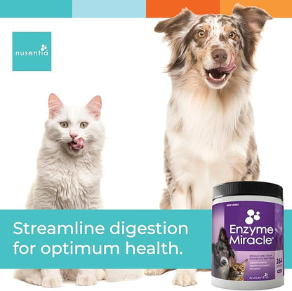 Digestive Enzymes for Dogs &amp; Cats : Protein, Carbs, Starches &amp; Fats Digestion : Supports Diet Change : Enzyme Miracle (364 Scoops, Powder)