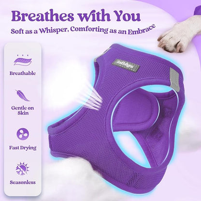 rabbitgoo Dog Harness Small Sized and Leash Set, Step in Soft Light Puppy Vest, Breathable Mesh Pet Harness, Reflective for Outdoor Safe Walking, Purple XL
