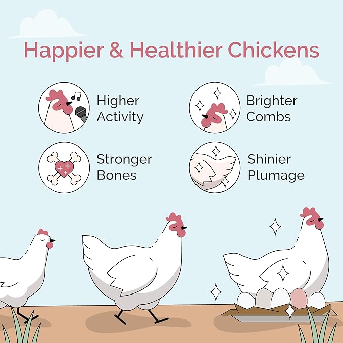 Chicken Grit for Layer &amp; Grower Chickens Age 8-20+ Weeks - 100% Natural Mineral Chicken Grit Quartzite, Poultry Grit, USA Mined, 4 lbs