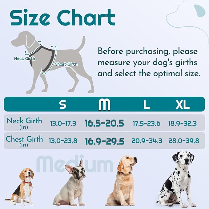 Eagloo Dog Harness Medium Sized, Easy Wearing with 3 Buckles, Adjustable No Pull Pet Harness with 2 Rings for Walking, No Chock Reflective Soft Padded Vest with Control Handle, Red &amp; Teal, M