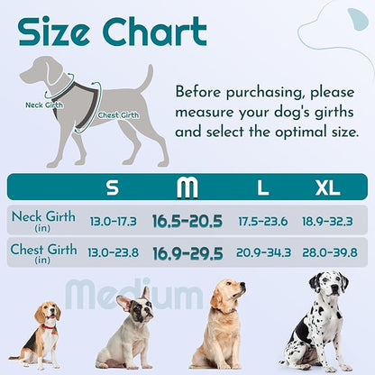 Eagloo Dog Harness Medium Sized, Easy Wearing with 3 Buckles, Adjustable No Pull Pet Harness with 2 Rings for Walking, No Chock Reflective Soft Padded Vest with Control Handle, Red &amp; Teal, M