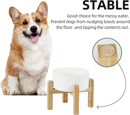 Ceramic Raised Dog and Cat Bowl Set, 2 Heights Elevated Stand, Food and Water Bowl for Small Breed Dogs, Weighted Dog Dishes, Pet Bowl(6.1&