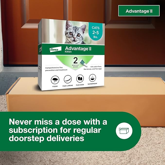 Advantage II Kitten Vet-Recommended Flea Treatment &amp; Prevention | Cats 2-5 lbs. | 2-Month Supply