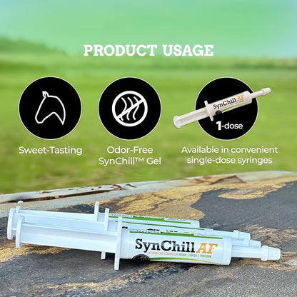 SynChill AF Calming Gel for Nervous Horses - Single Serving - Advanced Formula with L-Theanine, Increased Potency, 100% Natural Supplement, Disposition &amp; Confidence Support for Horses