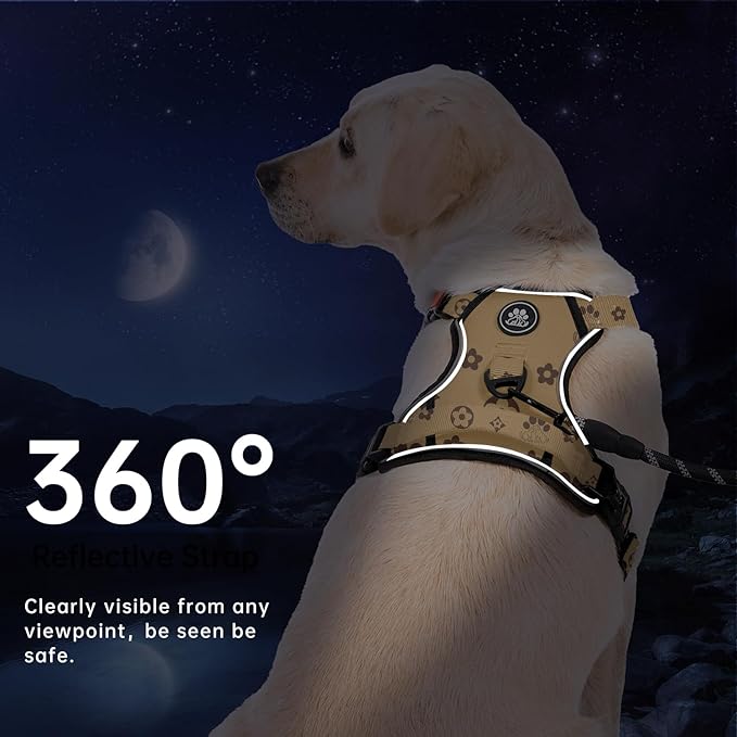 IVY&amp;LANE No Pull Dog Harness with Leash Set, Reflective No Choke Pet Vest,Adjustable Oxford Dog Vest Harness with Easy Control Handle for Large Dogs (Light Brown,XL)