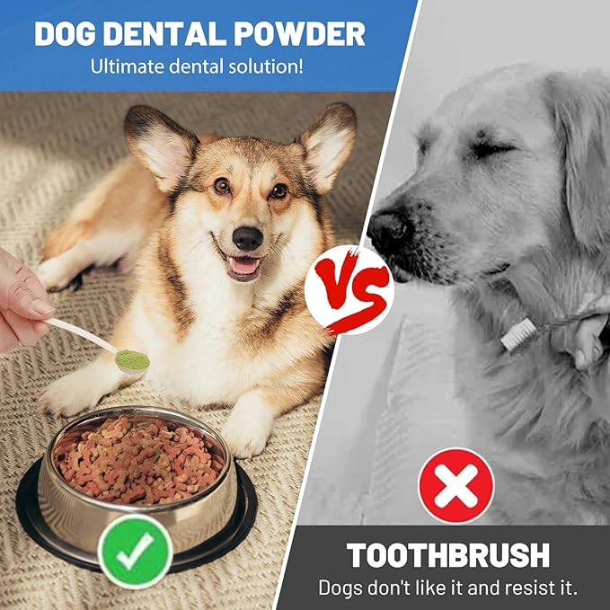 Dog Teeth Cleaning Powder, Dog Dental Powder and Breath Freshener, Plaque Off Pet Tooth Cleaning lab co, Bad Breath &amp; Tartar Remover for Dogs, Natural Herbal Blend - All Breeds &amp; Sizes