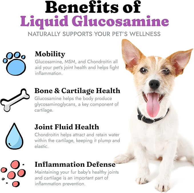 Liquid Glucosamine for Dogs Cats &amp; Horses with Chondroitin, MSM, and Hyaluronic Acid, Hip &amp; Joint Supplement for Mobility &amp; Comfort, Supports Joint Health &amp; Flexibility, Mobility, &amp; Protection, 32 oz