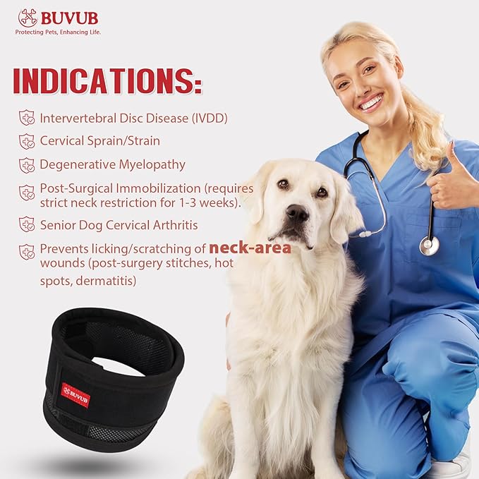 Adjustable Dog Neck Brace for Neck Pain &amp; Injury Relief - Soft &amp; Comfortable Support Collar for Dogs for Recovery After Surgery or Injury(Medium)