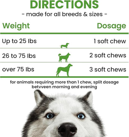 Probiotics for Dogs - Dog Probiotics with 5 Enzymes &amp; 4 Prebiotics for Itchy Skin, Pet Probiotics lab for Digestion &amp; Gut Support, Helps Diarrhea, Yeast Infection, Allergies &amp; Immune System -180 Chews