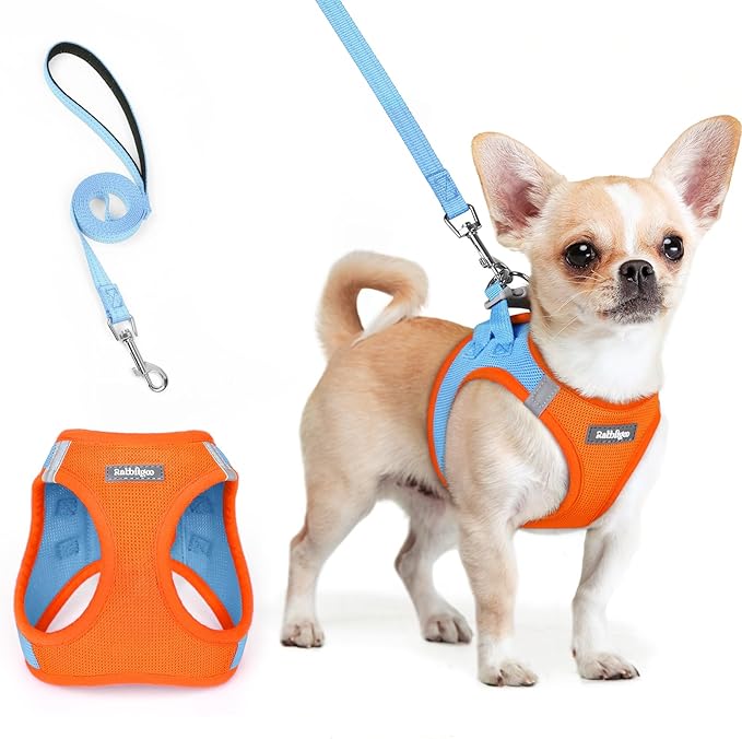 rabbitgoo Dog Harness Small Sized and Leash Set, Step in Soft Light Puppy Vest, Breathable Mesh Pet Harness, Reflective for Safe Easy Walking, Blue &amp; Orange XXS