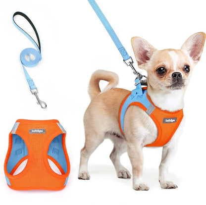rabbitgoo Dog Harness Small Sized and Leash Set, Step in Soft Light Puppy Vest, Breathable Mesh Pet Harness, Reflective for Safe Easy Walking, Blue &amp; Orange XXS