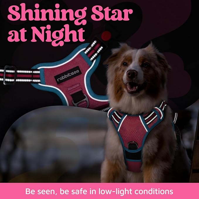 rabbitgoo Dog Harness Medium Sized, No Pull Dog Vest with 3 Buckles, Adjustable Soft Padded Pet Harness with Easy Control Handle and Reflective Strips, Rose Pink &amp; Blue, M