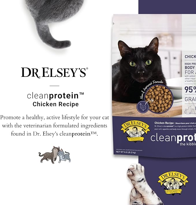 Dr. Elsey&