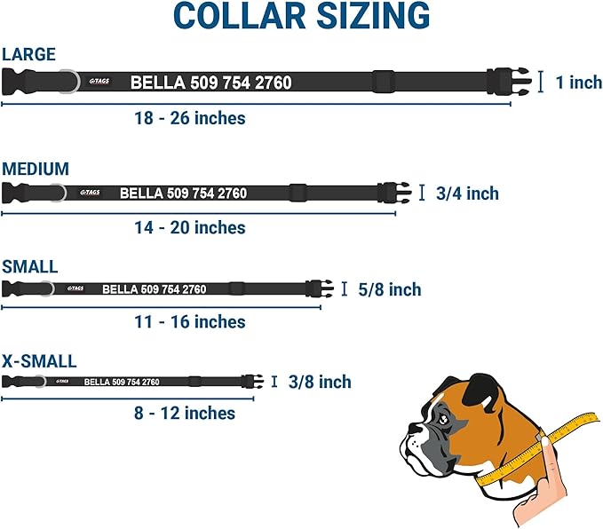 GoTags Personalized Dog Collar with Nameplate, Adjustable Dog Collar with Custom Engraved Slide On Pet ID Tag in Stainless Steel, Silent, No Noise Dog Tag (Charcoal, X-Small)