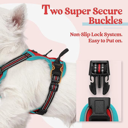 rabbitgoo Dog Harness No Pull with 2 Leash Clips, Adjustable Soft Padded, Reflective Oxford No Choke Pet Vest with Easy Control Handle for Puppy, Red &amp; Teal, XS