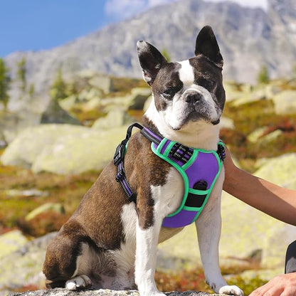 Eagloo Dog Harness for Large Dogs, No Pull Service Vest with Reflective Strips and Control Handle, Adjustable and Comfortable for Walking, No Choke Harness with 2 Metal Rings, Purple &amp; Green, M