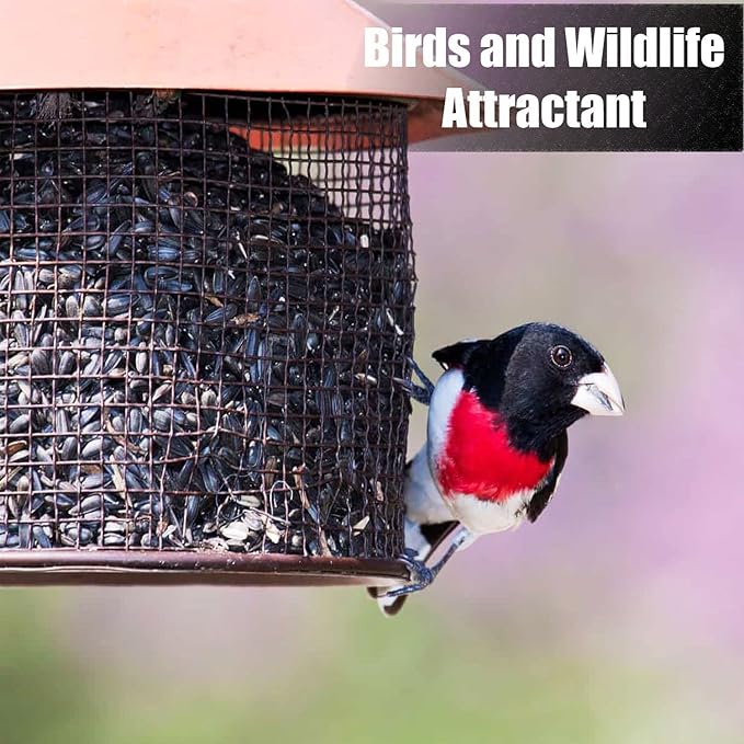 Wildlife Black Oil Sunflower Seeds for Birds and Wildlife, Non-GMO &amp; USA Grown on Small Farms (25 lbs)
