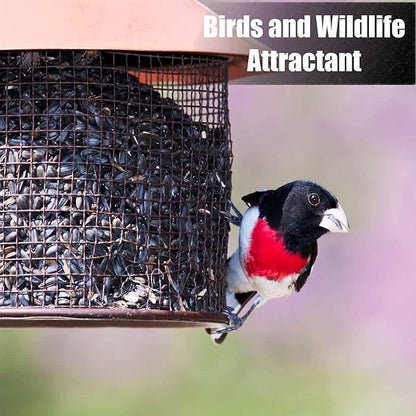 Wildlife Black Oil Sunflower Seeds for Birds and Wildlife, Non-GMO &amp; USA Grown on Small Farms (25 lbs)