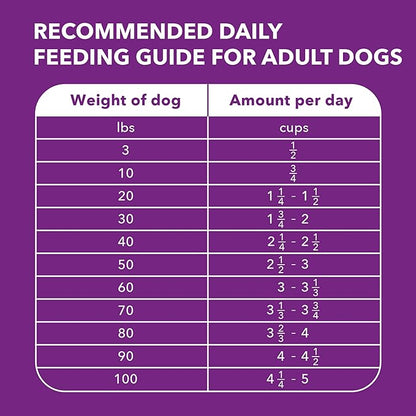IAMS Advanced Health Skin &amp; Coat Adult Dry Dog Food Chicken and Salmon Recipe, 13.5 lb. Bag