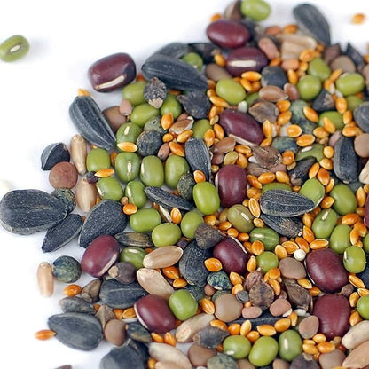Handy Pantry Organic Birdseed - 1 Lb - Sprouting Bird Seed Mix for Small, Medium &amp; Large Birds- Feed for Songbirds, Parakeets, Parrots, etc