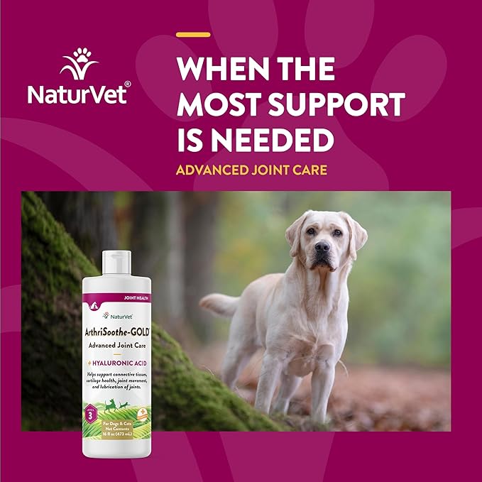 NaturVet – ArthriSoothe-Gold Advanced Care Liquid | Level 3 Advanced Joint Care | Supports Healthy Hip &amp; Joint Function | Enhanced with Glucosamine, MSM &amp; Chondroitin | For Dogs &amp; Cats | 16 oz Liquid