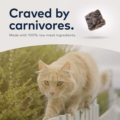 ZIWI Peak Air-Dried Cat Food Bundle High Protein, Grain Free &amp; Limited Ingredient Superfoods (Beef, 14oz + Lamb + Chicken)