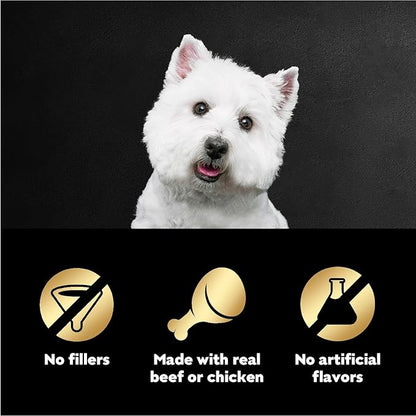 Cesar Filets in Gravy Wet Dog Food Filet Mignon Flavor and Rotisserie Chicken Flavor Variety Pack, 1.76 oz. Mini-Pouches (20 Count, Pack of 2)