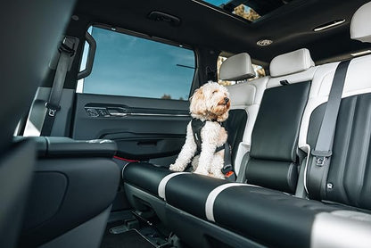 Thule Cappy Dog Harness L - Crash-Tested for Safety - Seatbelt passthrough - Adjustable &amp; Easy to Clean - Padded Breathable mesh Panels - Leash Loop - Step-in Design