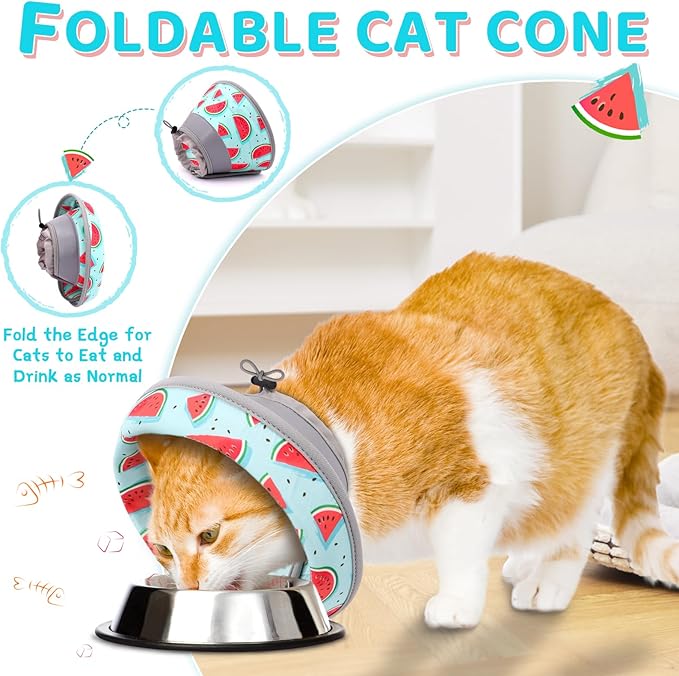 Cat Cone Collar Soft to Stop Licking, Adjustable, Foldable Lightweight Kitten Cones After Surgery Recovery for Cats &amp; Kittens, Cat Cone Alternative (Blue, M)