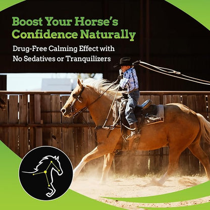 SynChill AF Calming Gel for Nervous Horses - Single Serving - Advanced Formula with L-Theanine, Increased Potency, 100% Natural Supplement, Disposition &amp; Confidence Support for Horses