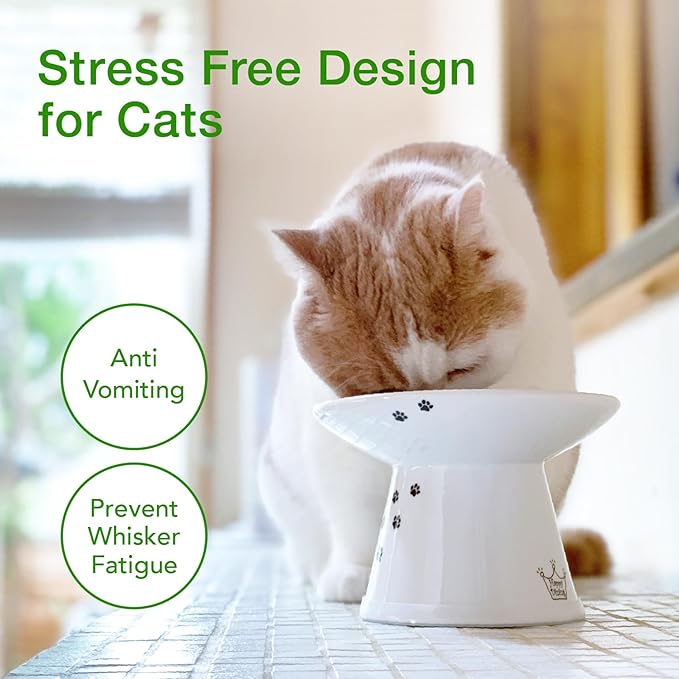 Necoichi Extra Wide Raised Cat Food Bowl, Elevated, Prevent Neck &amp; Whisker Fatigue, Dishwasher and Microwave Safe, No.1 Seller in Japan! (Cat, Extra Wide)